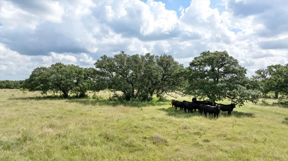 CR 2200 Hico, TX 76457