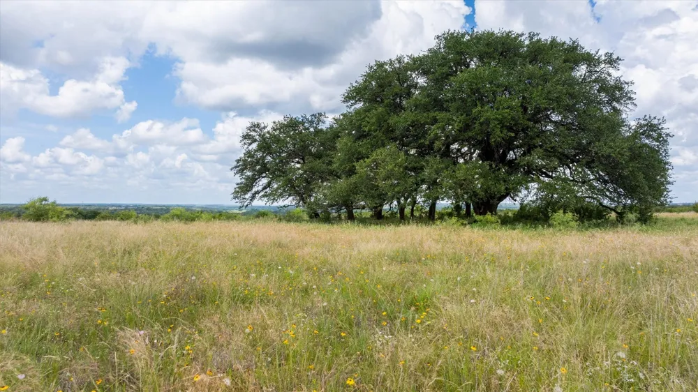 CR 2200 Hico, TX 76457