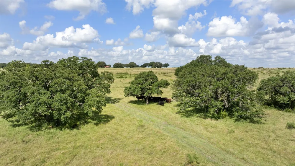 CR 2200 Hico, TX 76457