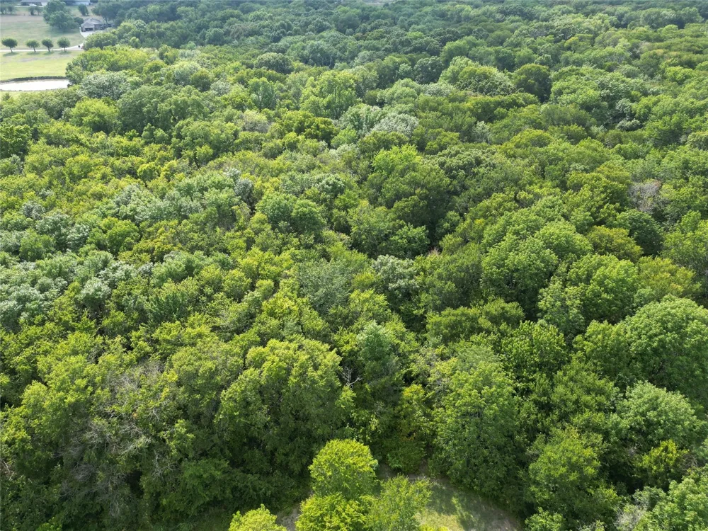 1214 Old Millwood Road Rockwall, TX 75087