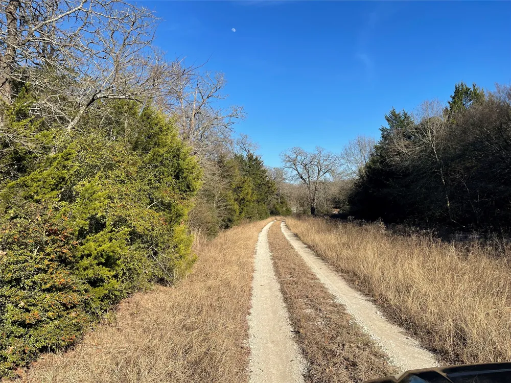 FM 553 Teague, TX 75860