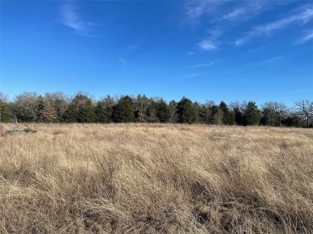 FM 553 Teague, TX 75860