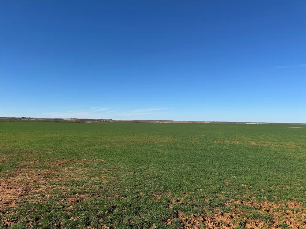 FM 422 Seymour, TX 76380