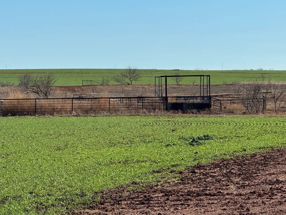 FM 422 Seymour, TX 76380