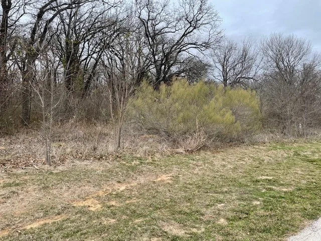 8407 Southern Shore Court Kemp, TX 75143