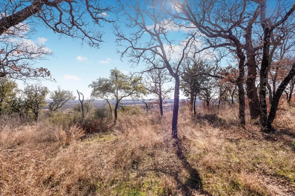 53 Travis Drive Mineral Wells, TX 76067
