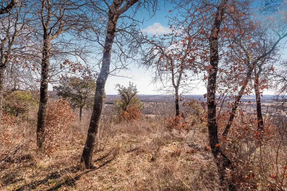 53 Travis Drive Mineral Wells, TX 76067