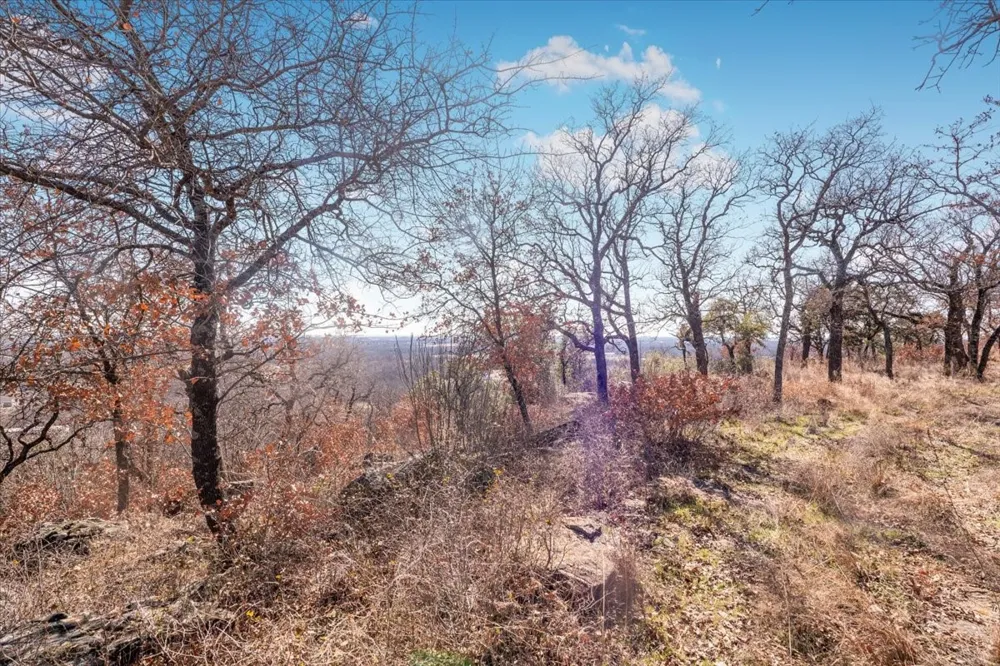 53 Travis Drive Mineral Wells, TX 76067