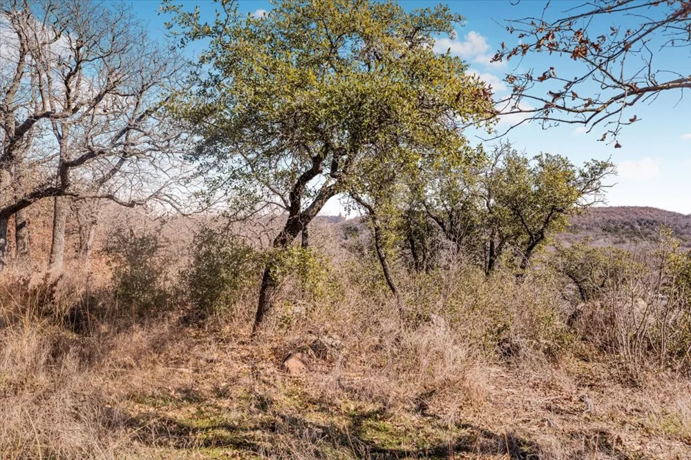 53 Travis Drive Mineral Wells, TX 76067