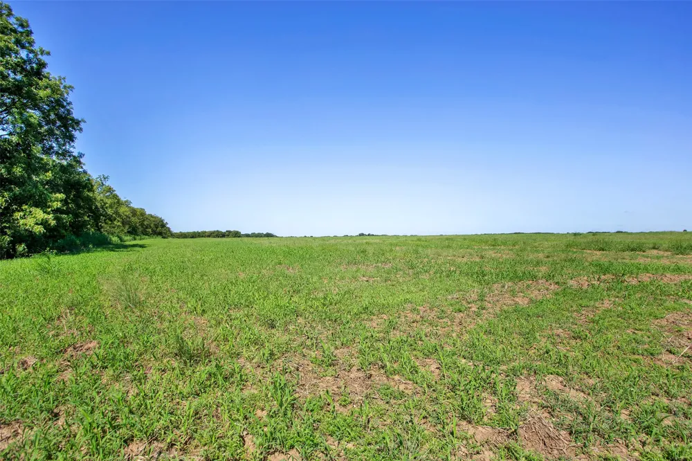 99 Buck Creek Tioga, TX 76271