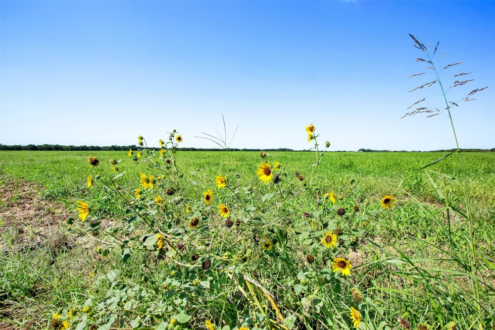 99 Buck Creek Tioga, TX 76271