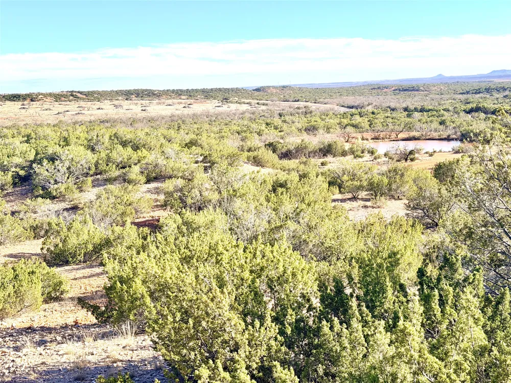 5530 Hwy 158 Robert Lee, TX 76945