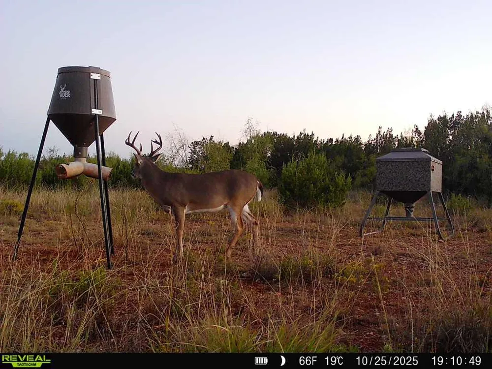 5530 Hwy 158 Robert Lee, TX 76945