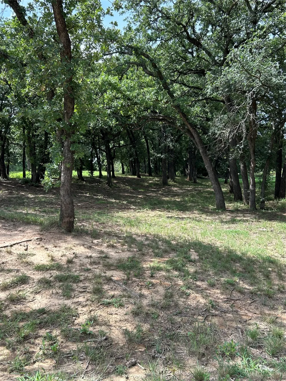 1340 US Hwy 281 Hamilton, TX 76531