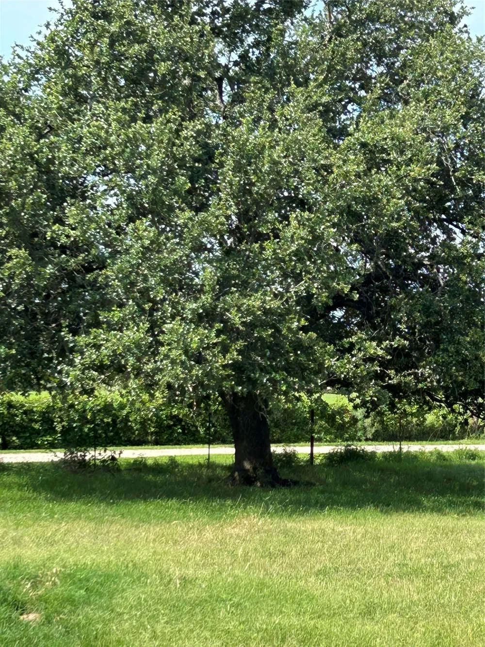 1340 US Hwy 281 Hamilton, TX 76531