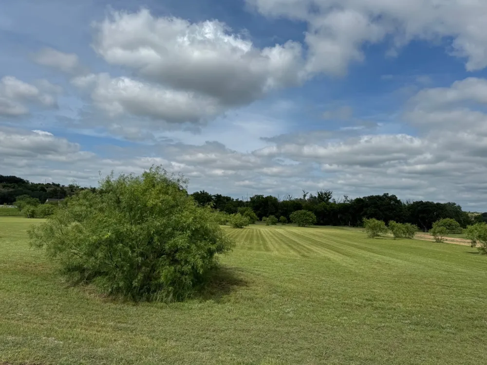 Mercers Preserve Rd Comanche, TX 76442