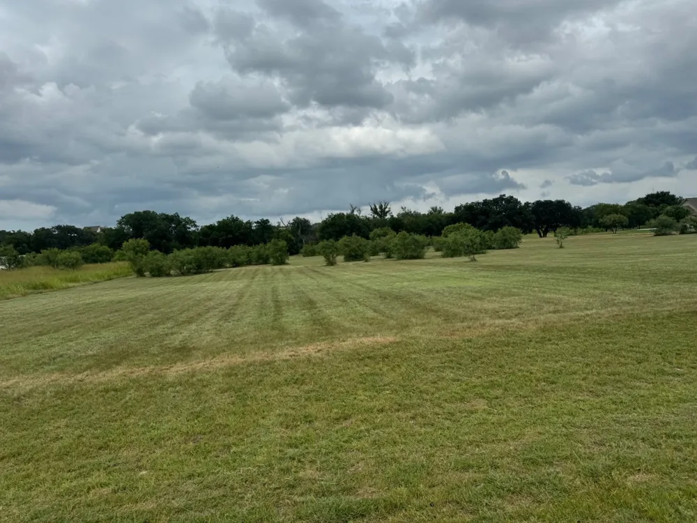 Mercers Preserve Rd Comanche, TX 76442