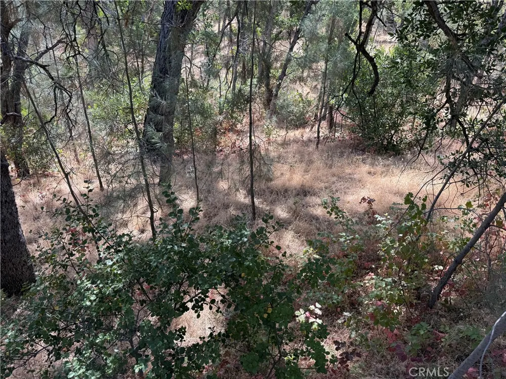 16305 Hillcrest Drive Corning, CA 96021
