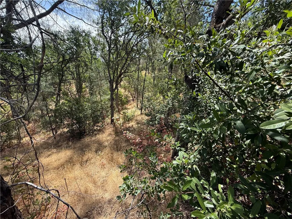16305 Hillcrest Drive Corning, CA 96021
