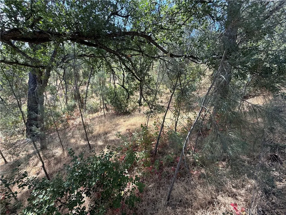 16305 Hillcrest Drive Corning, CA 96021