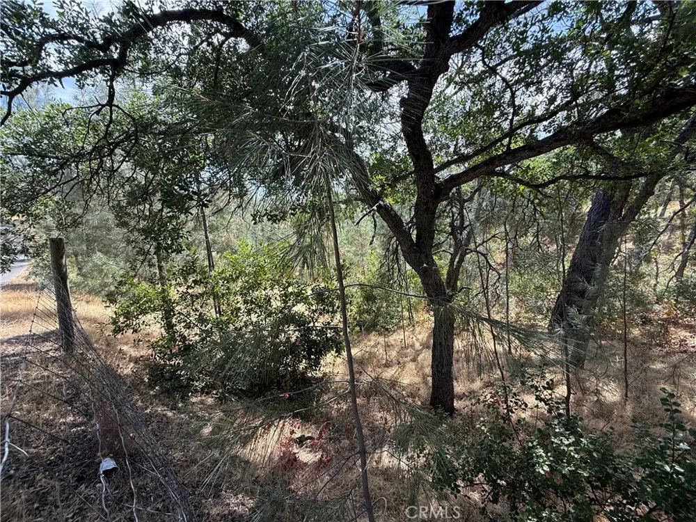 16305 Hillcrest Drive Corning, CA 96021