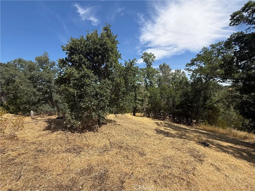 16318 Longhorn Lane Corning, CA 96021