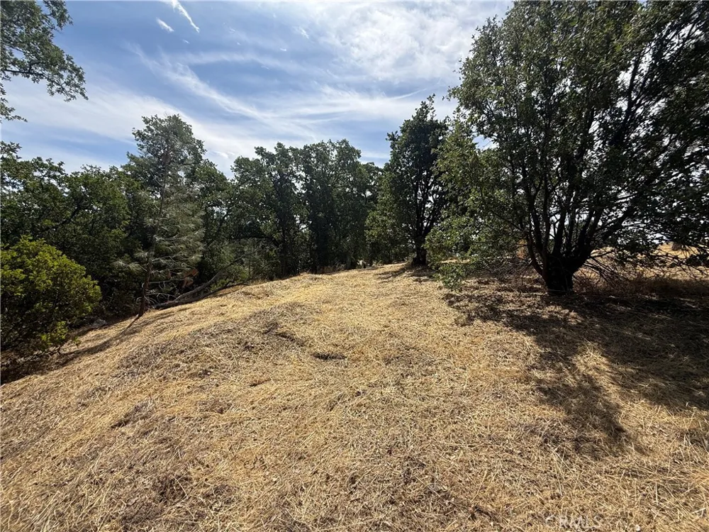 16318 Longhorn Lane Corning, CA 96021