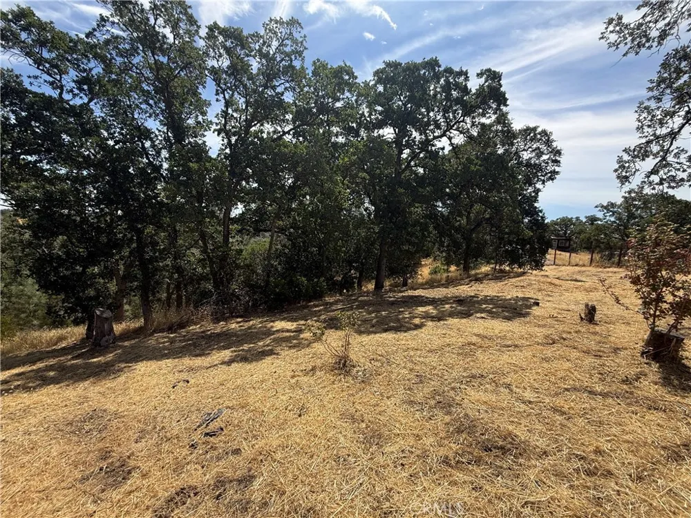 16318 Longhorn Lane Corning, CA 96021