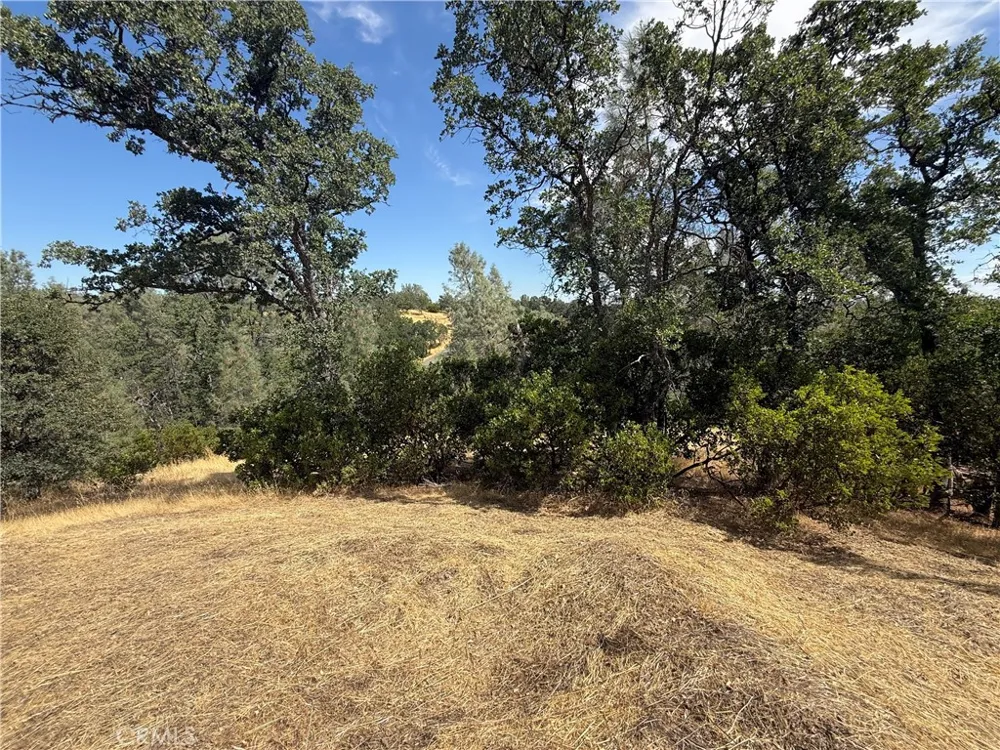 16318 Longhorn Lane Corning, CA 96021
