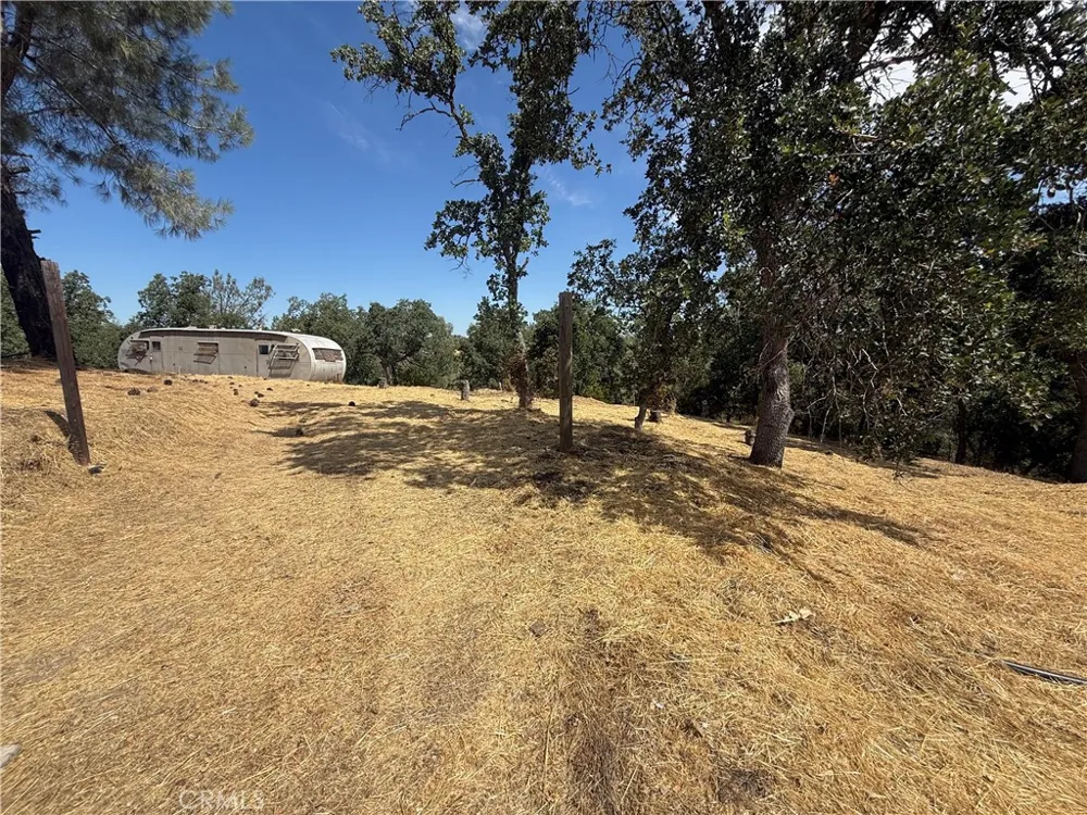 16318 Longhorn Lane Corning, CA 96021