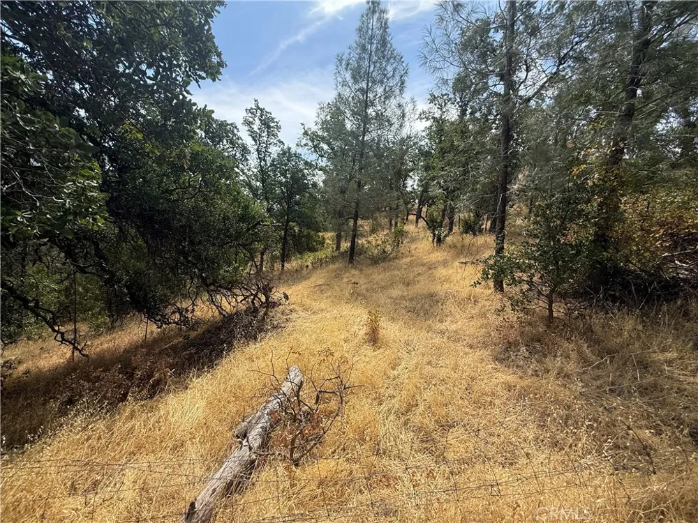 16295 Hillcrest Drive Corning, CA 96021