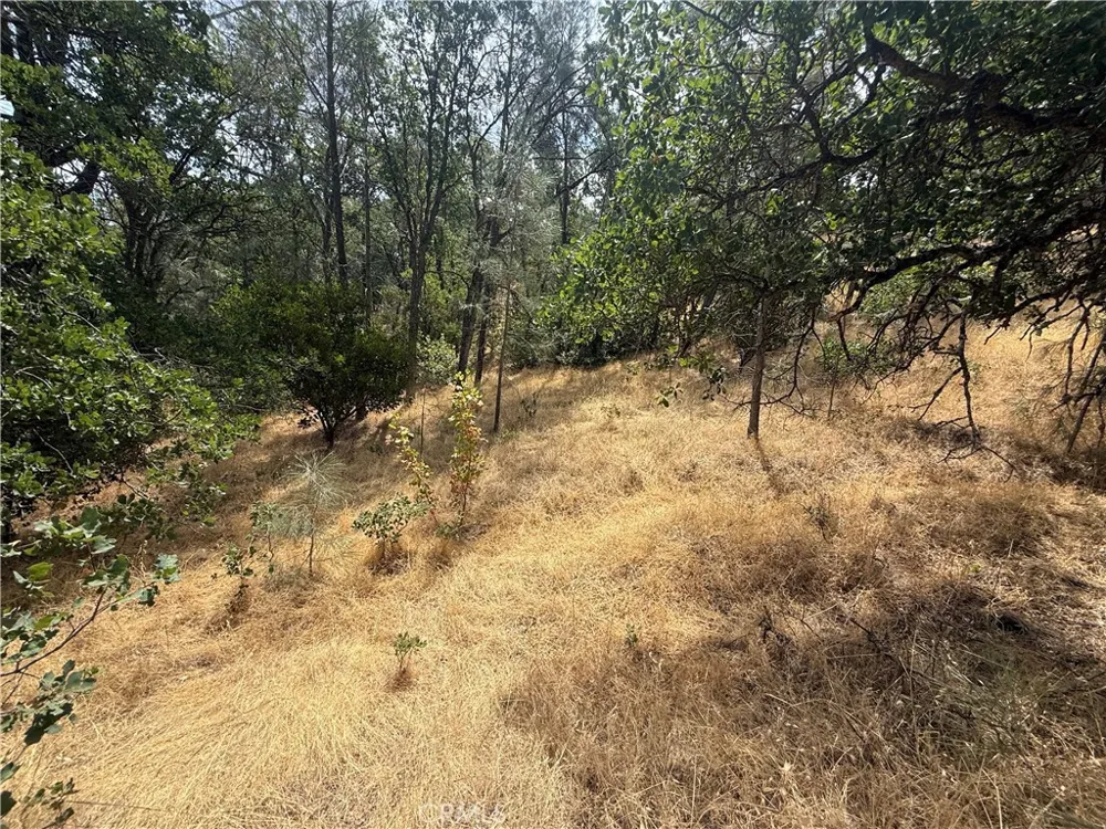 16295 Hillcrest Drive Corning, CA 96021