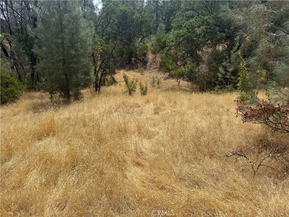 16295 Hillcrest Drive Corning, CA 96021