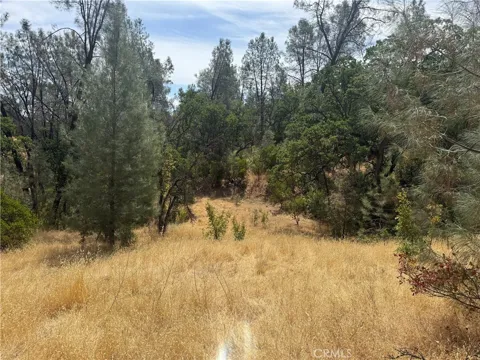 16295 Hillcrest Drive