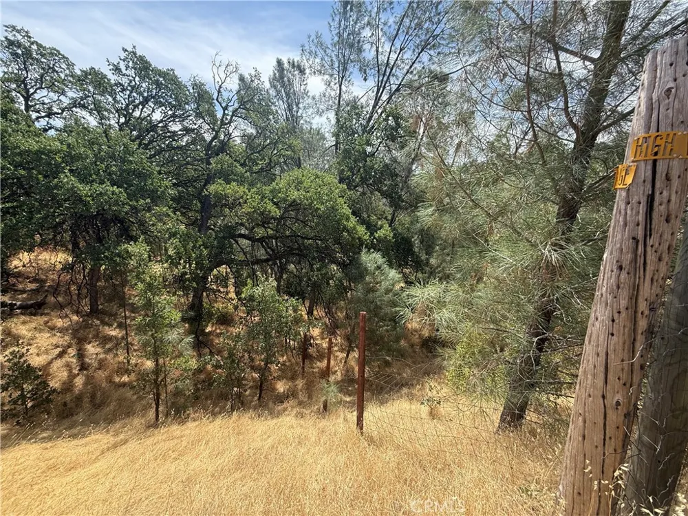 16295 Hillcrest Drive Corning, CA 96021