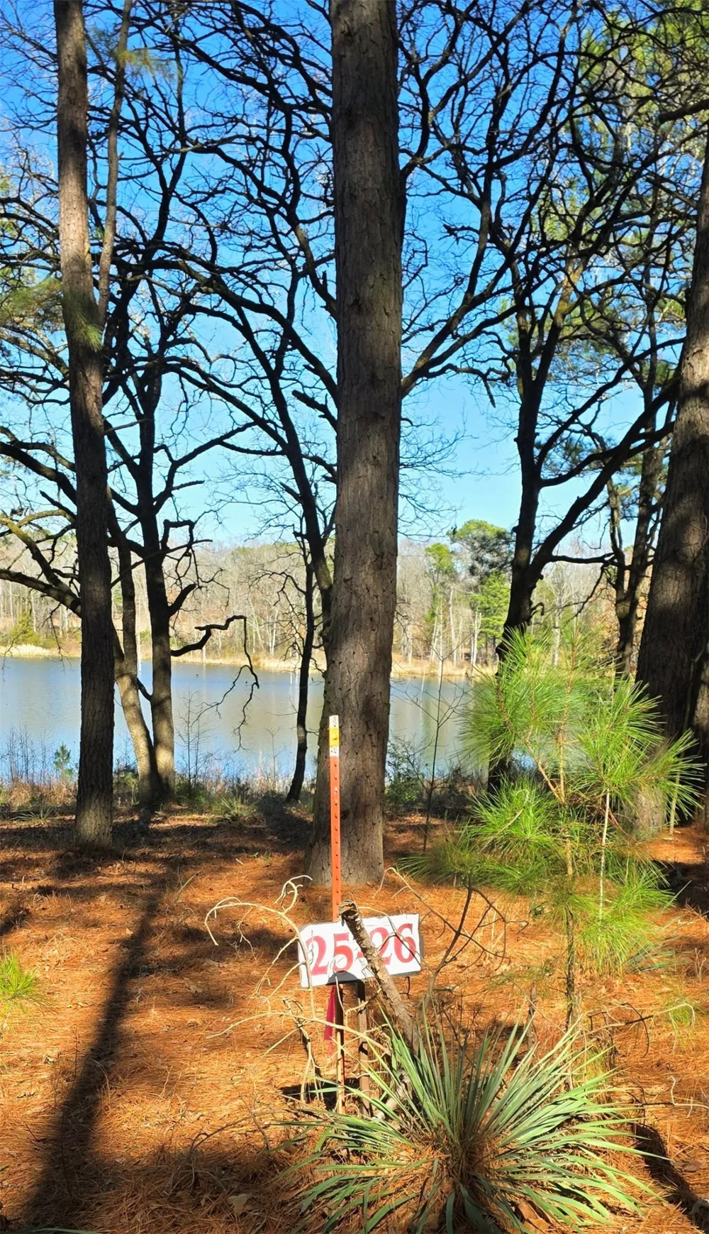 25 Private Rd 6307 Mineola, TX 75773