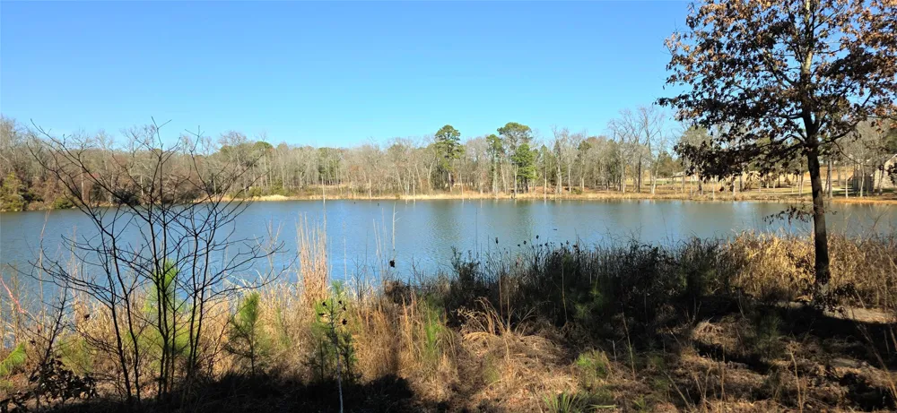 25 Private Rd 6307 Mineola, TX 75773