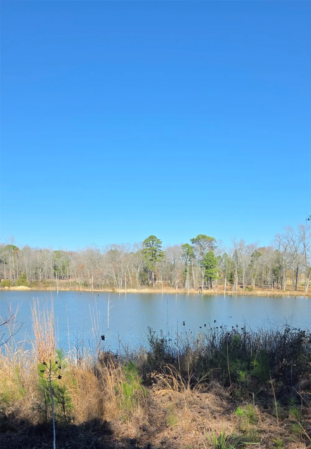 25 Private Rd 6307 Mineola, TX 75773