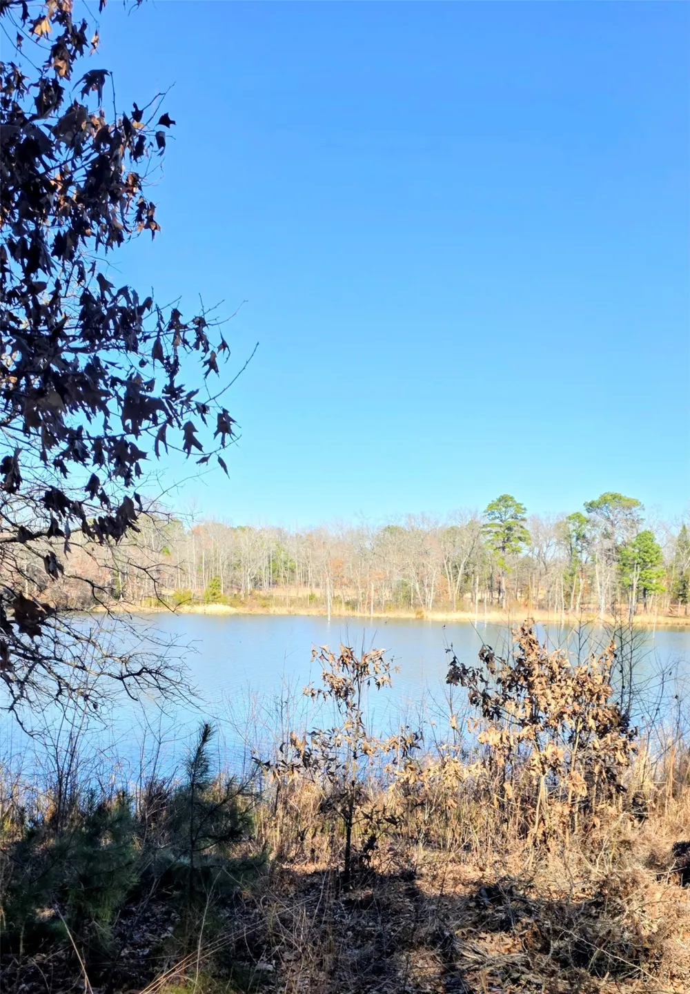 25 Private Rd 6307 Mineola, TX 75773