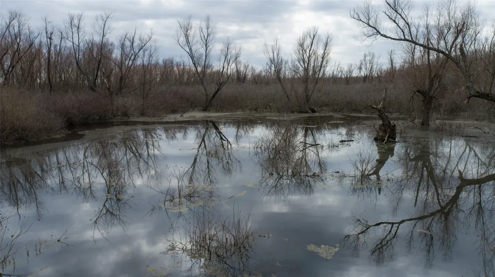 Butler Pool Rd Idabel, OK 74745