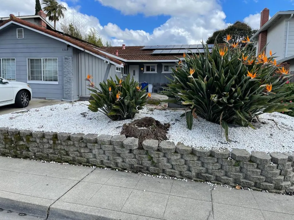 1260 Glacier Drive Milpitas, CA 95035