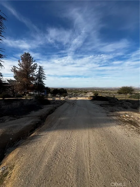 Avenue W-14