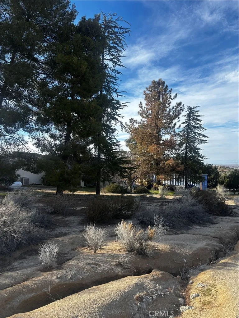 Avenue W-14 Pearblossom, CA 93553