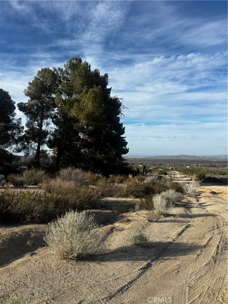 Avenue W-14 Pearblossom, CA 93553