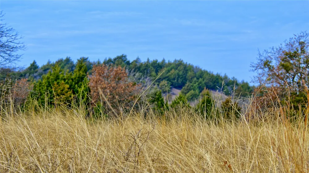 FM 3206 St Jo, TX 76265