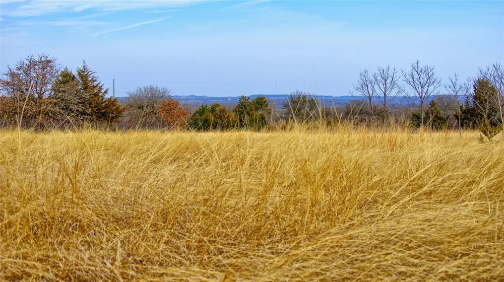 FM 3206 St Jo, TX 76265