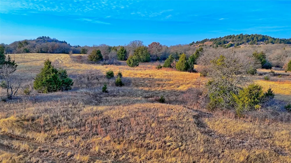 FM 3206 St Jo, TX 76265