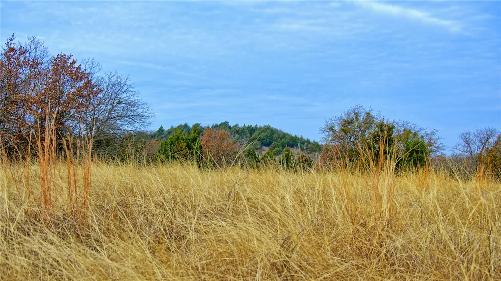 FM 3206 St Jo, TX 76265