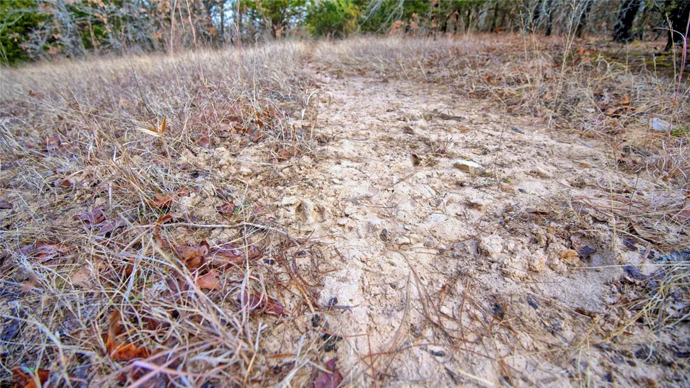 FM 3206 St Jo, TX 76265