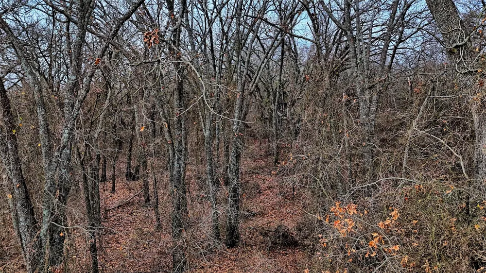 FM 3206 St Jo, TX 76265